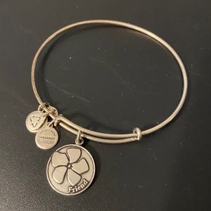 Silver Friend Alex and Ani